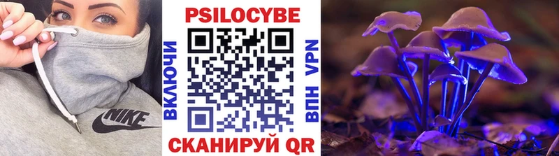 hydra   Казань  Псилоцибиновые грибы прущие грибы  как найти закладки 