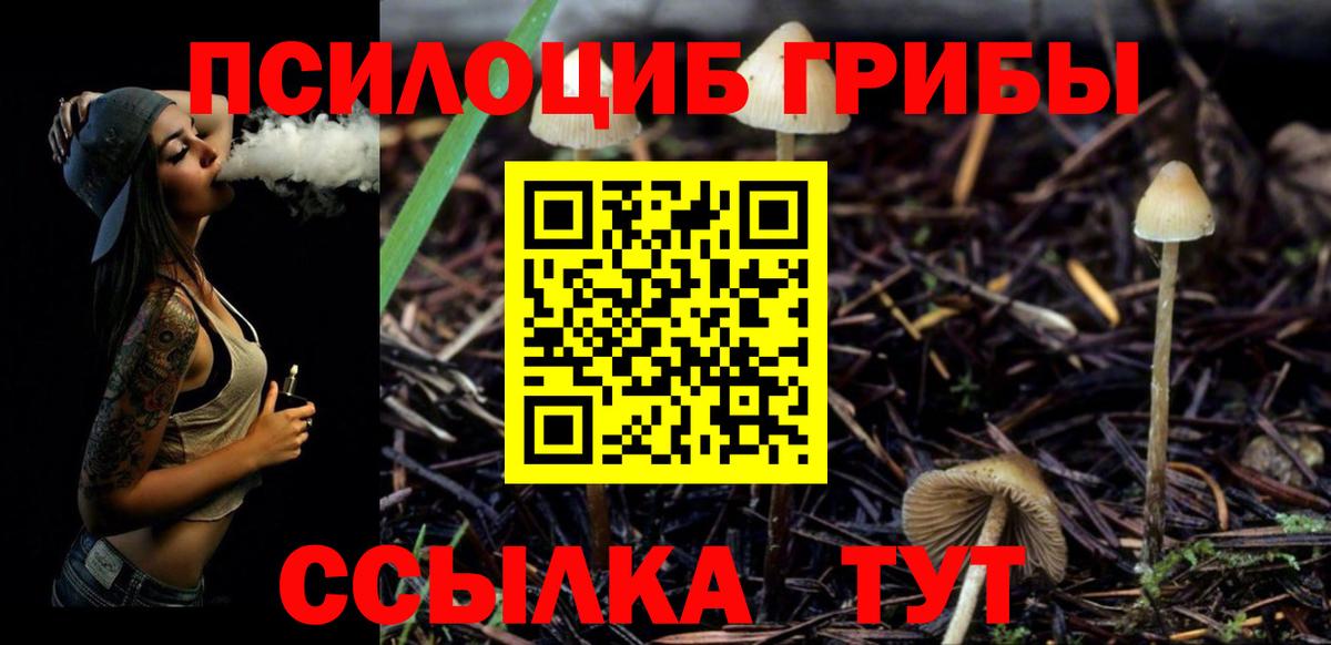 Alpha-PVP  МЕТ  Гашиш  Марихуана  Вейп ТГК  Казань  Гарик  МДМА  НБОМе  COCAIN  МЕФ  МЕФ  Вход с VPN 
