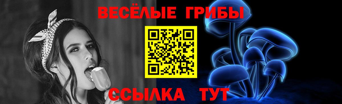 Галлюциногенные грибы Cubensis Казань